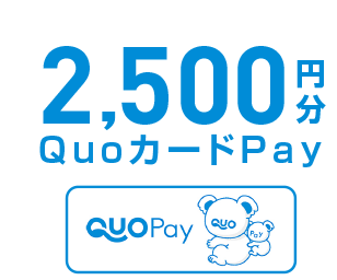 2,500円分QuoカードPay